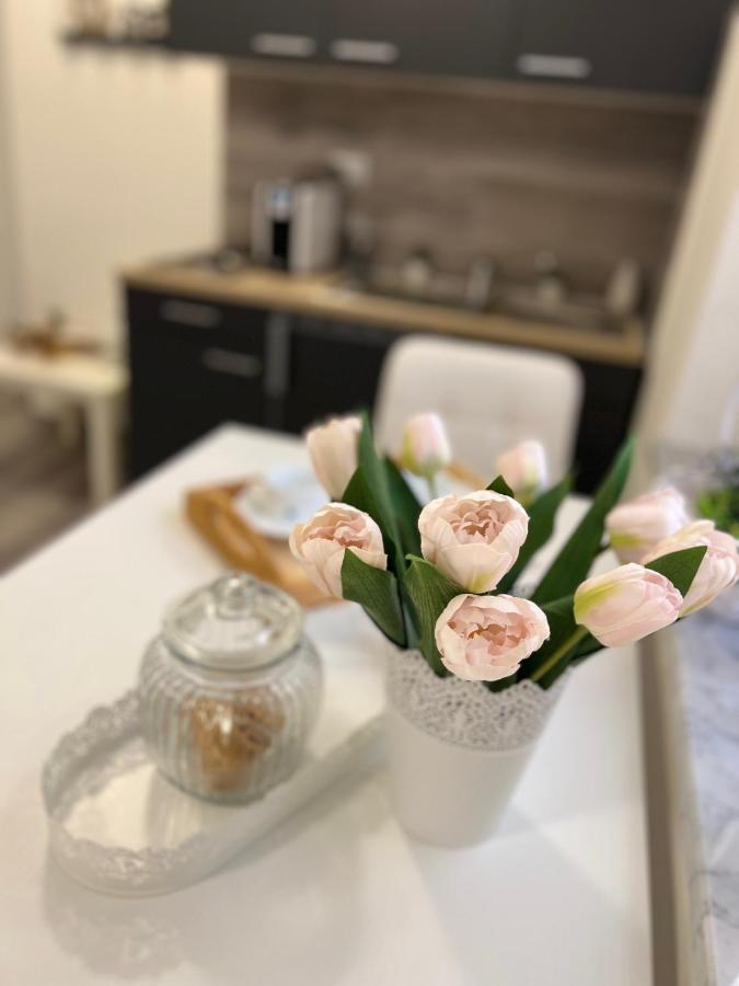 Marand House Rome别墅 外观 照片